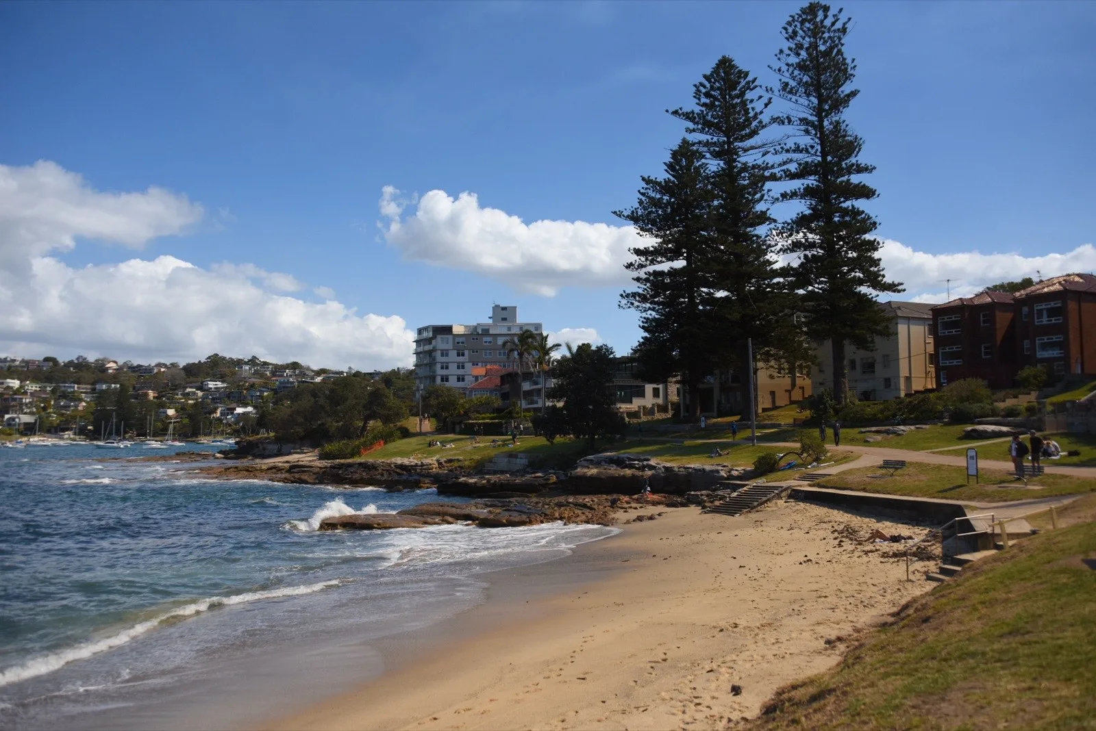 Fairlight Beach and its Norfolk pines on Sydney Harbour