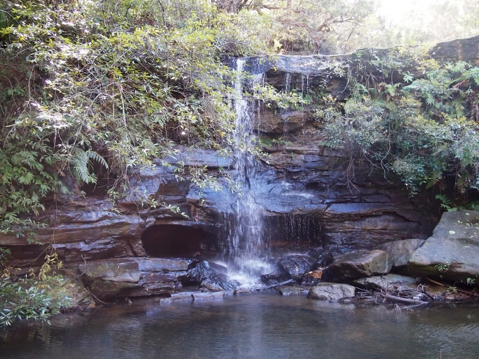 A waterfall and swimming hole in Manly Dam Reserve near Manly Vale