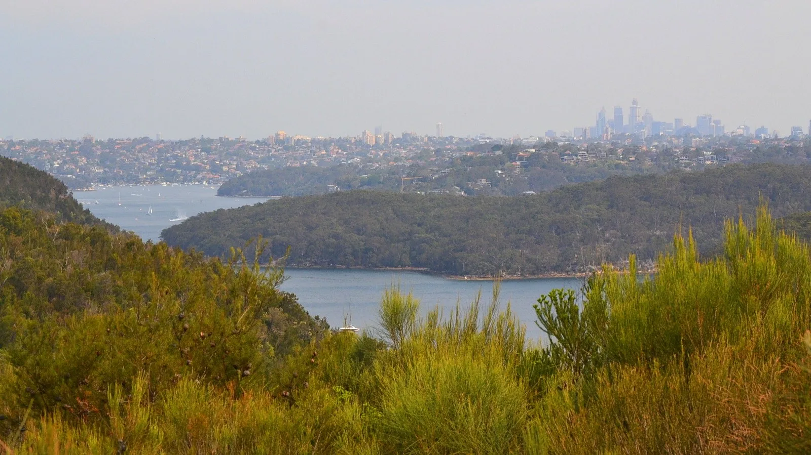 Middle Harbour and Bantry Bay from the Seaforth bushland, city skyline beyond