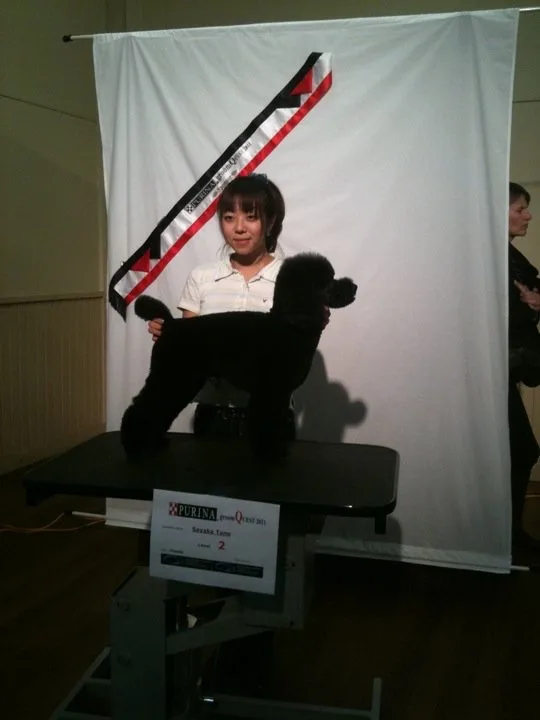 Sayaka with a black toy poodle on the competition table, 2011