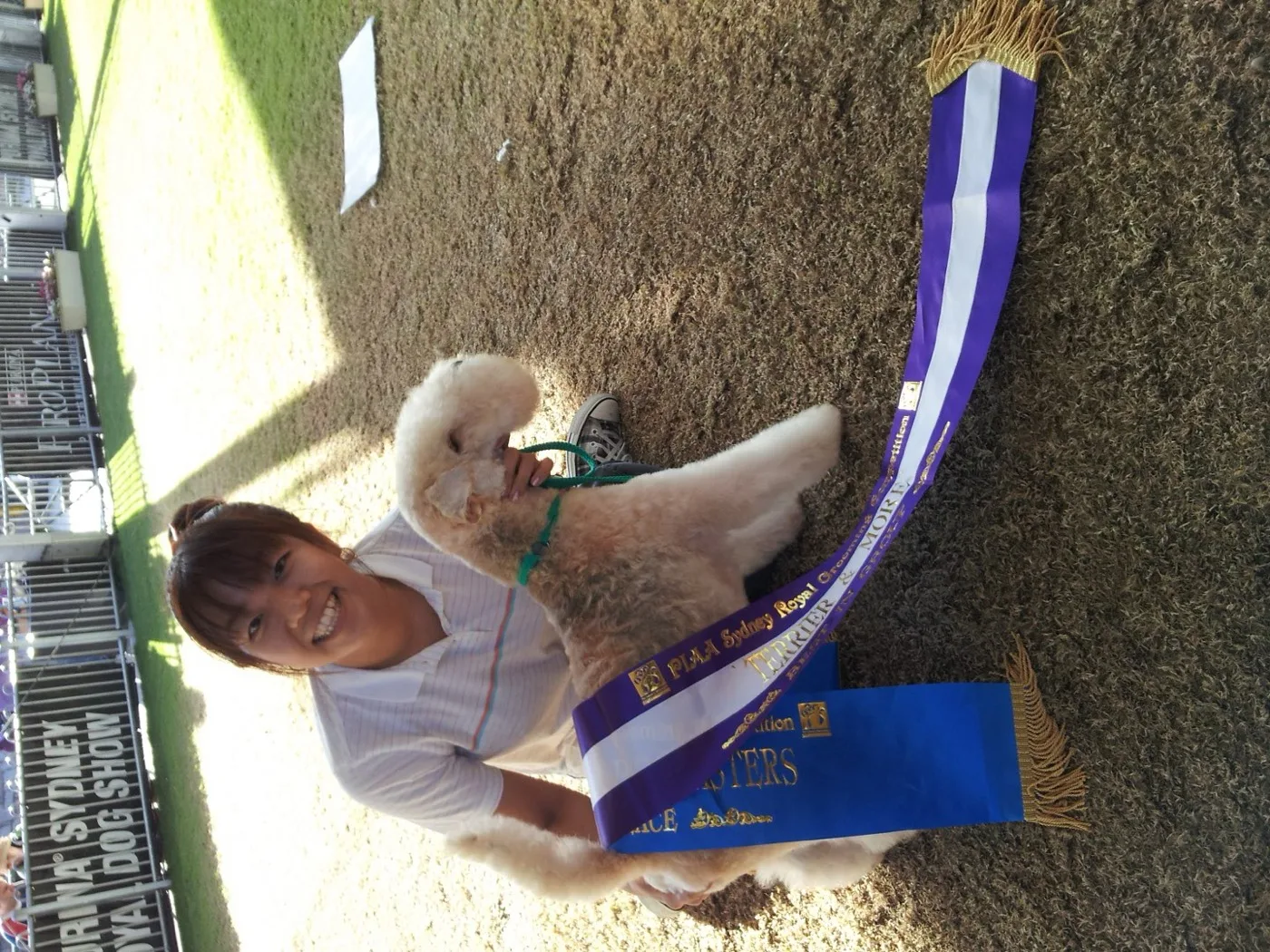 Sayaka with a purple winner's sash and freshly trimmed dog at the Sydney Royal Dog Show, 2013