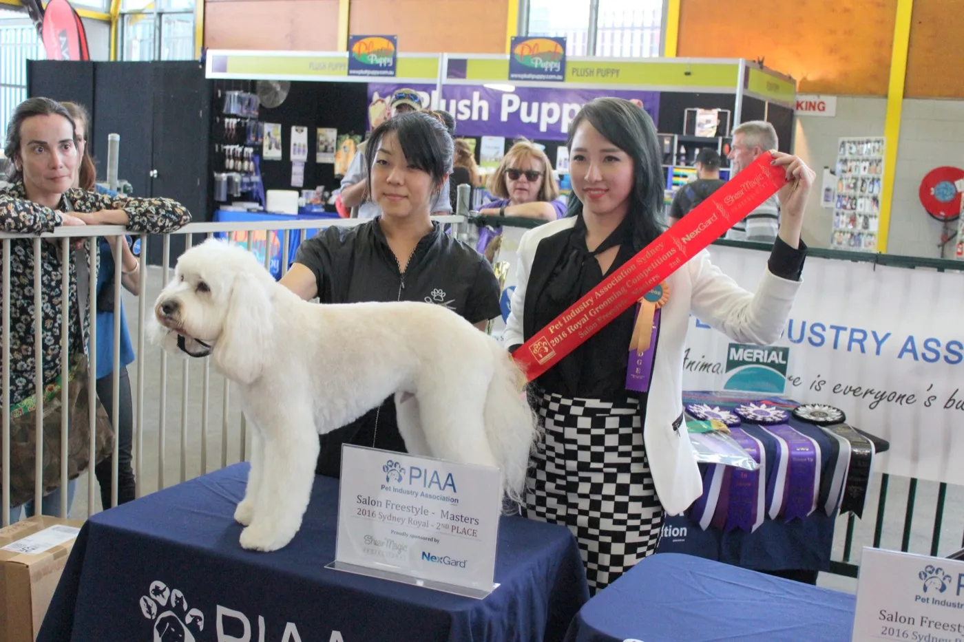 Sayaka with a styled poodle and placing card at the 2016 Sydney Royal Salon Freestyle Masters