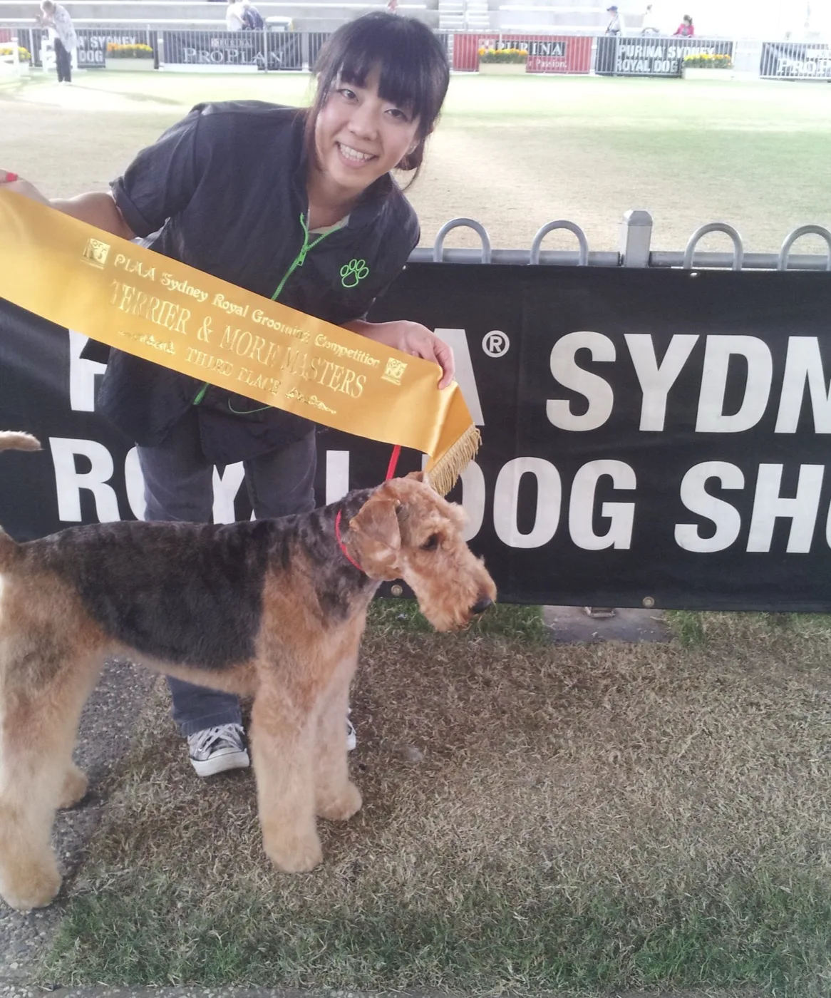 Sayaka holding a winner's sash behind an airedale terrier at the Sydney Royal Dog Show
