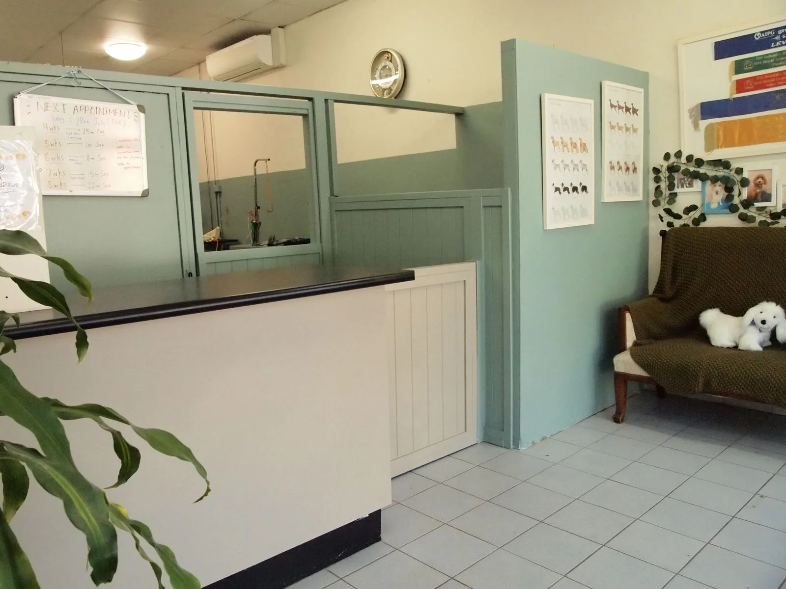 Reception counter inside the Scissored Paws pet grooming salon in Manly